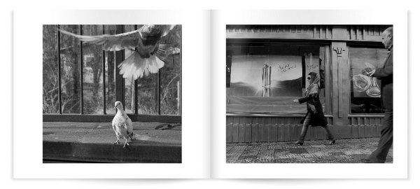 Iran photos by Ali Torkzadeh